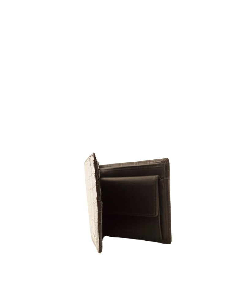 CERRUTI