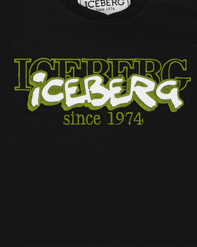 ICEBERG