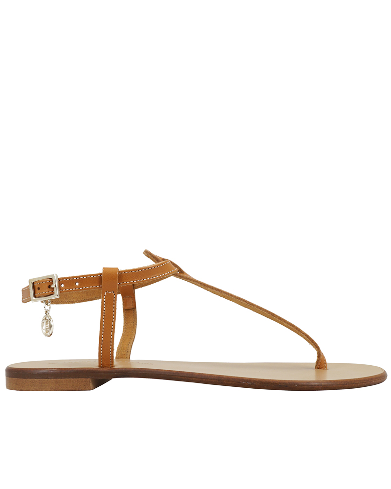 BTRUSSARDI