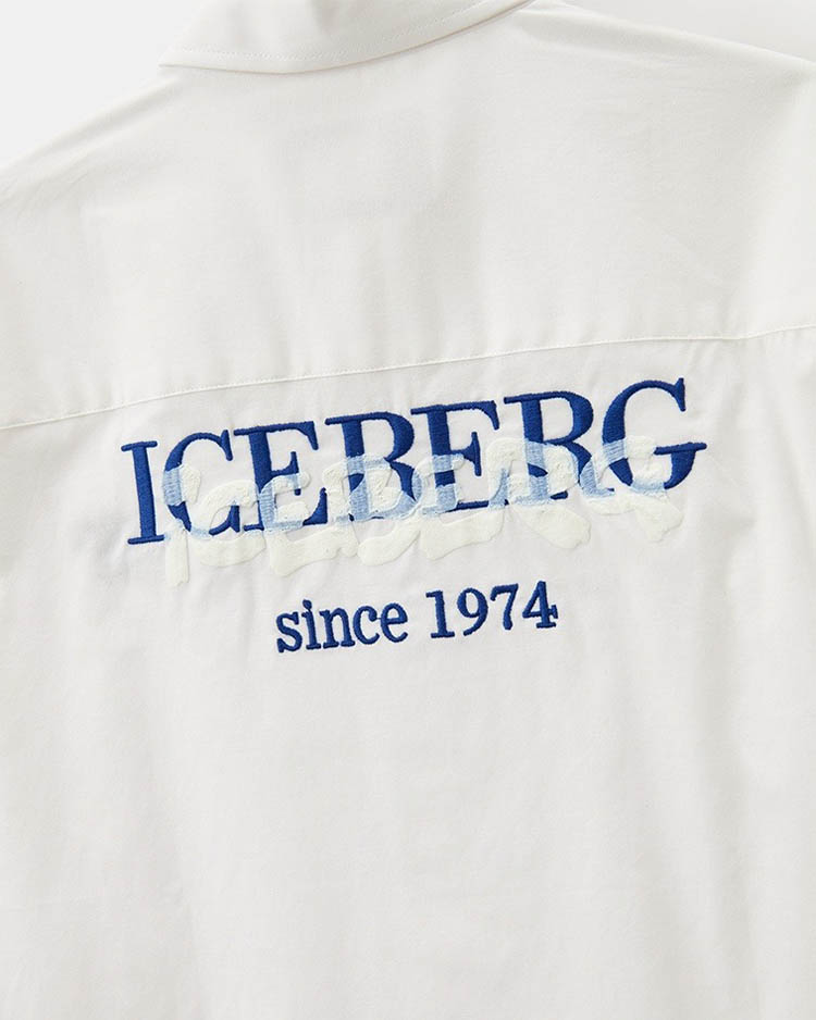 ICEBERG