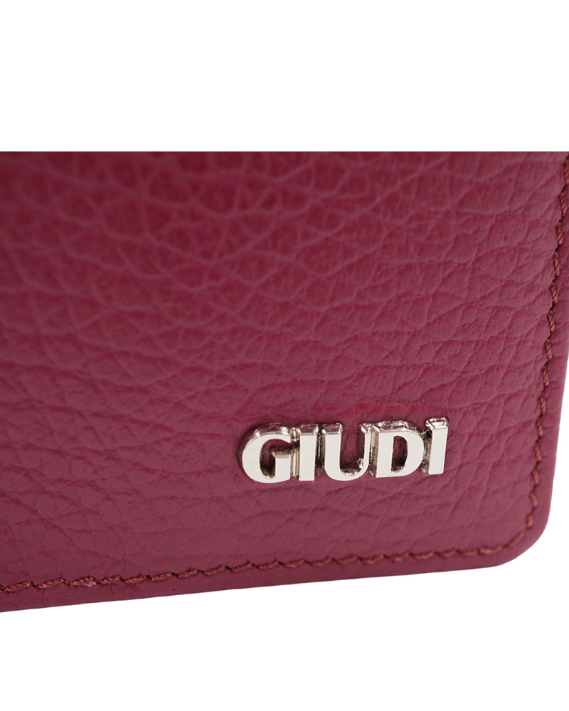 GIUDI