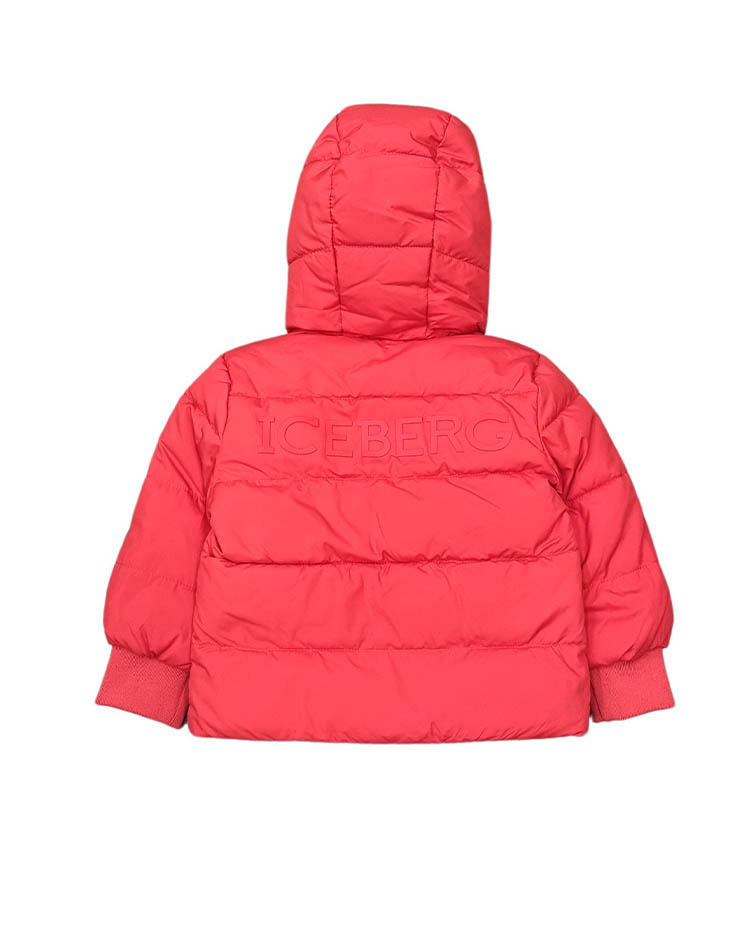 ICEBERG