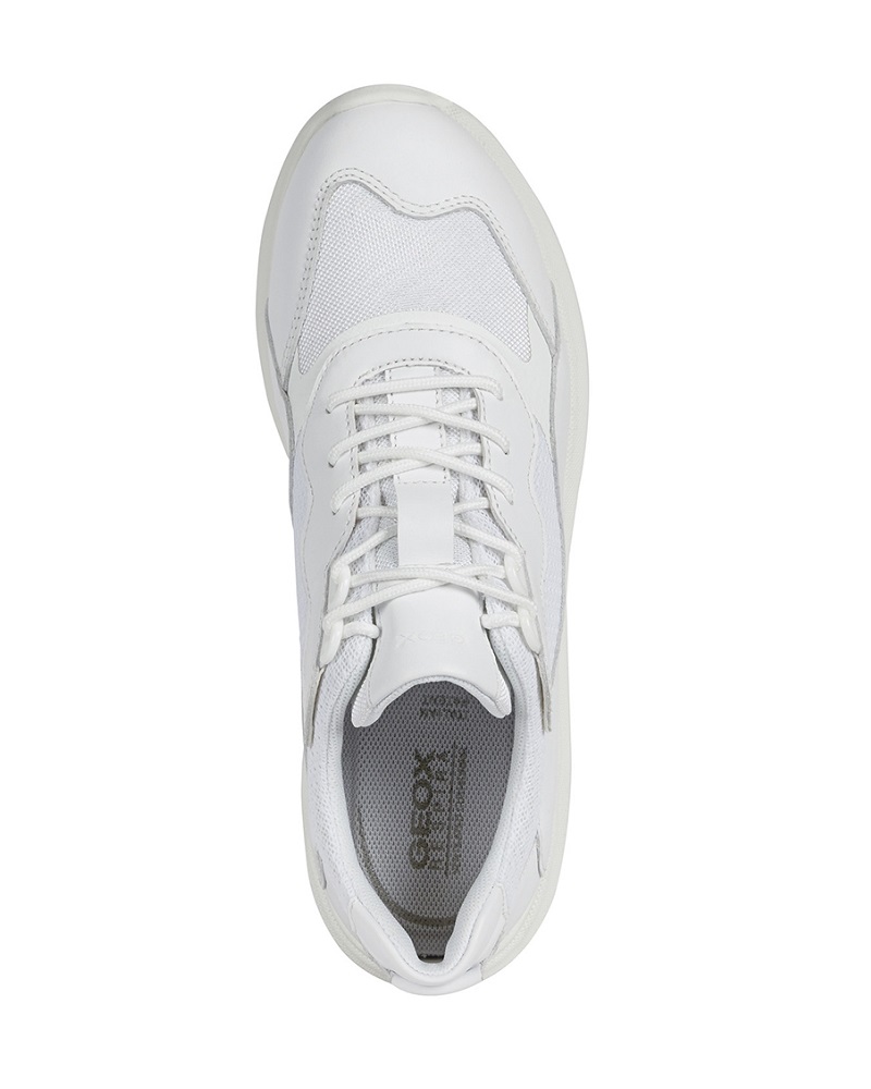 GEOX