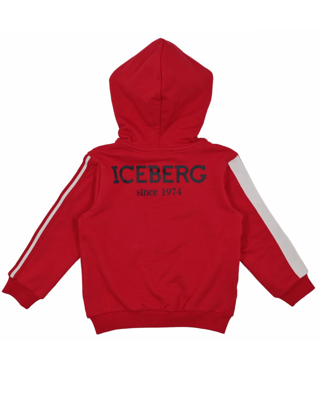 ICEBERG