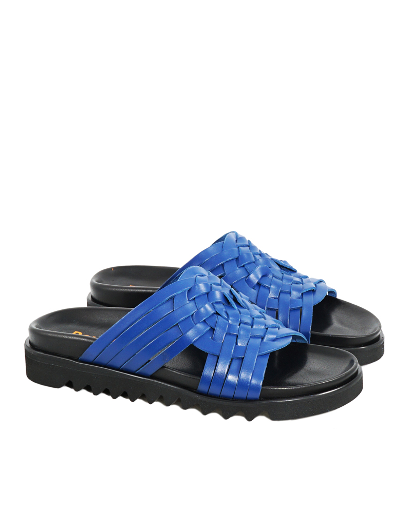 POLLINI