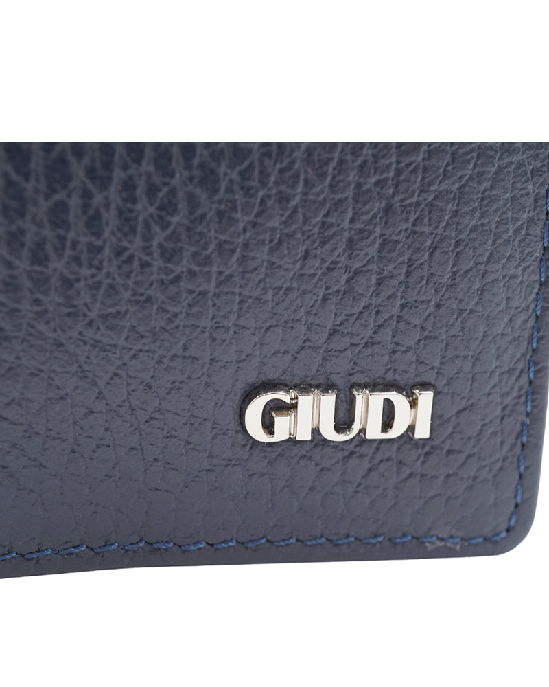 GIUDI