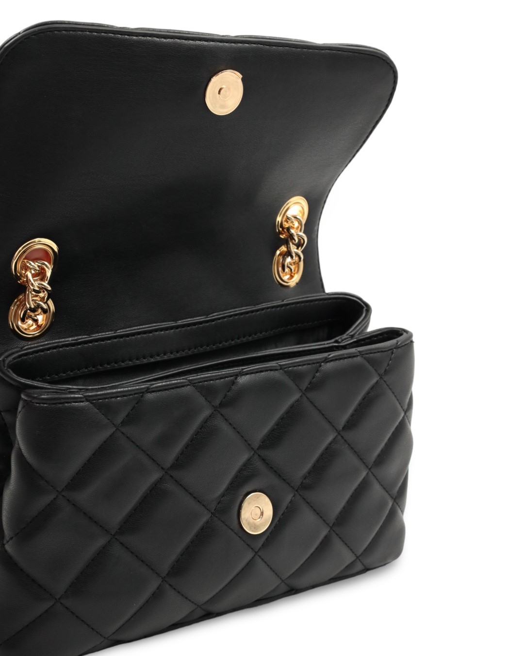 POLLINI