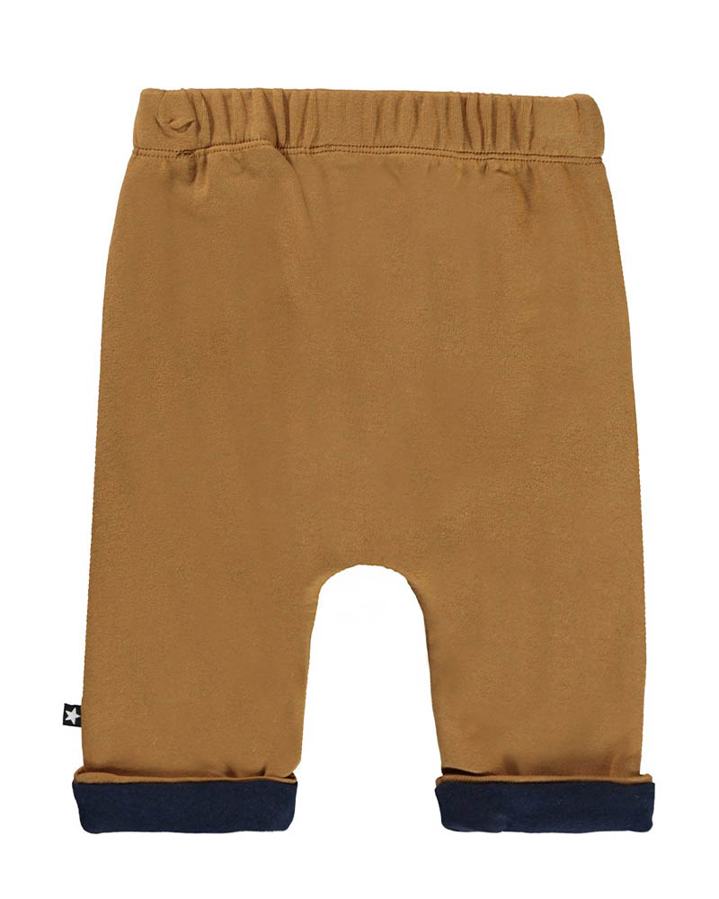 MOLO