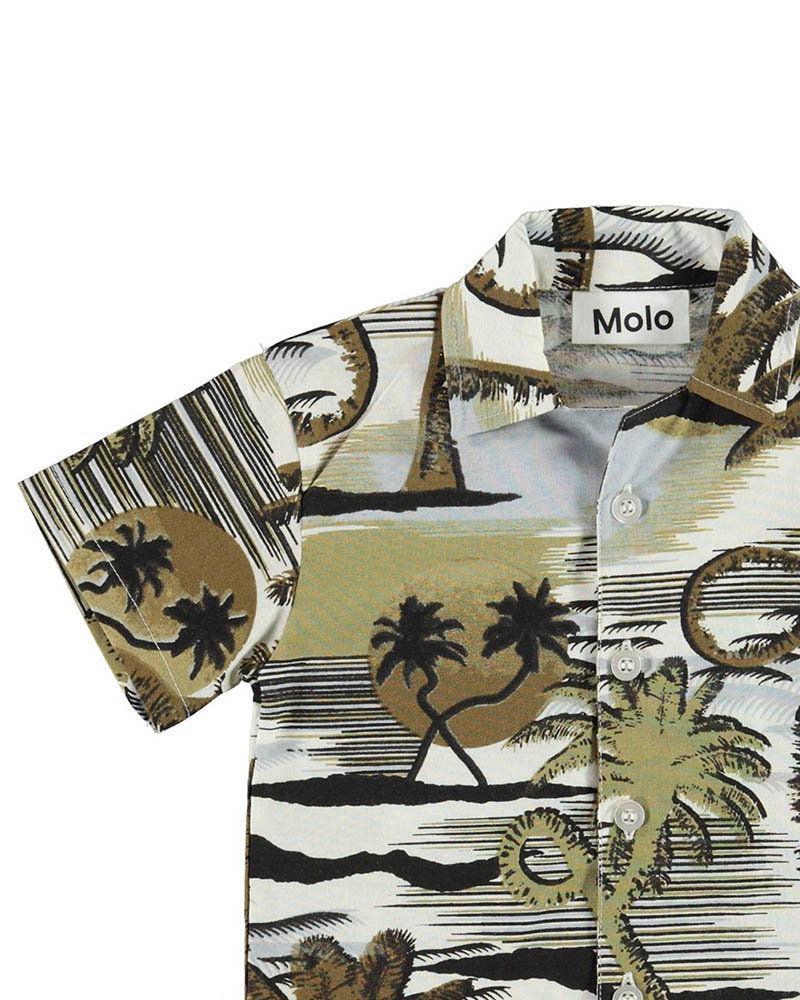 MOLO