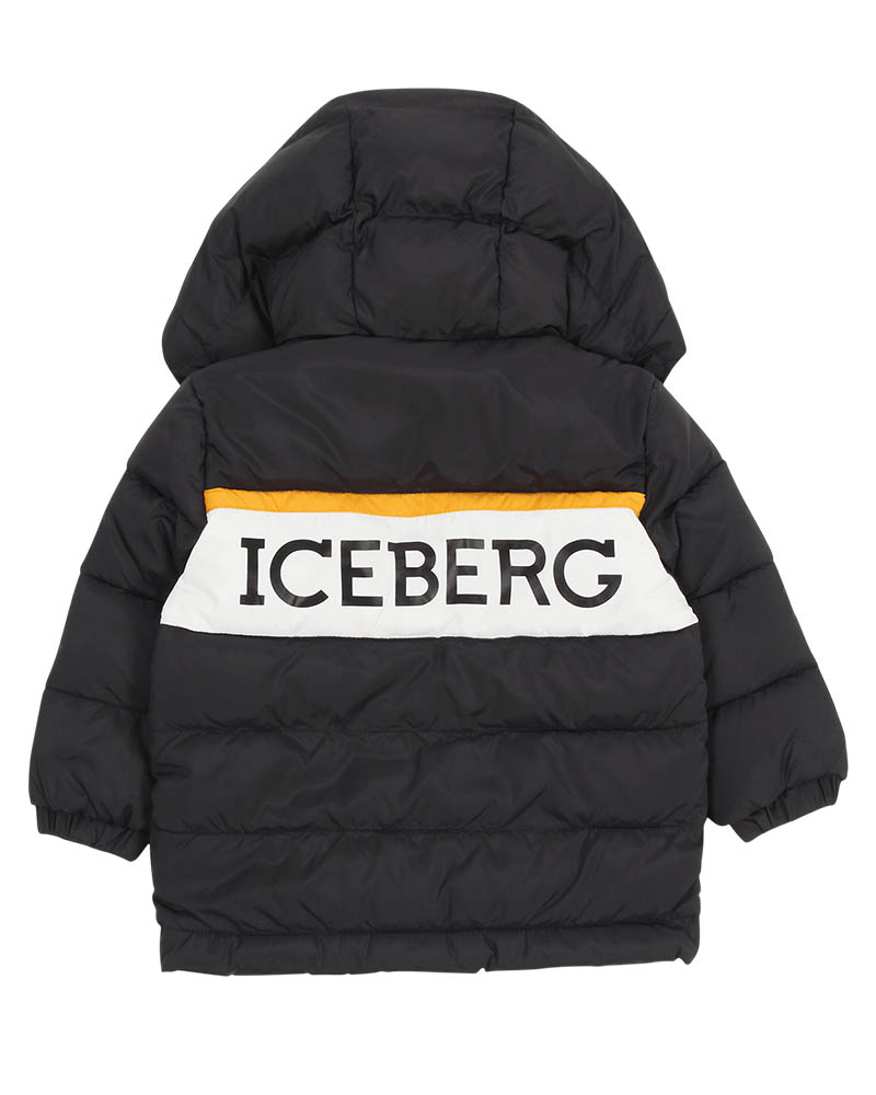 ICEBERG
