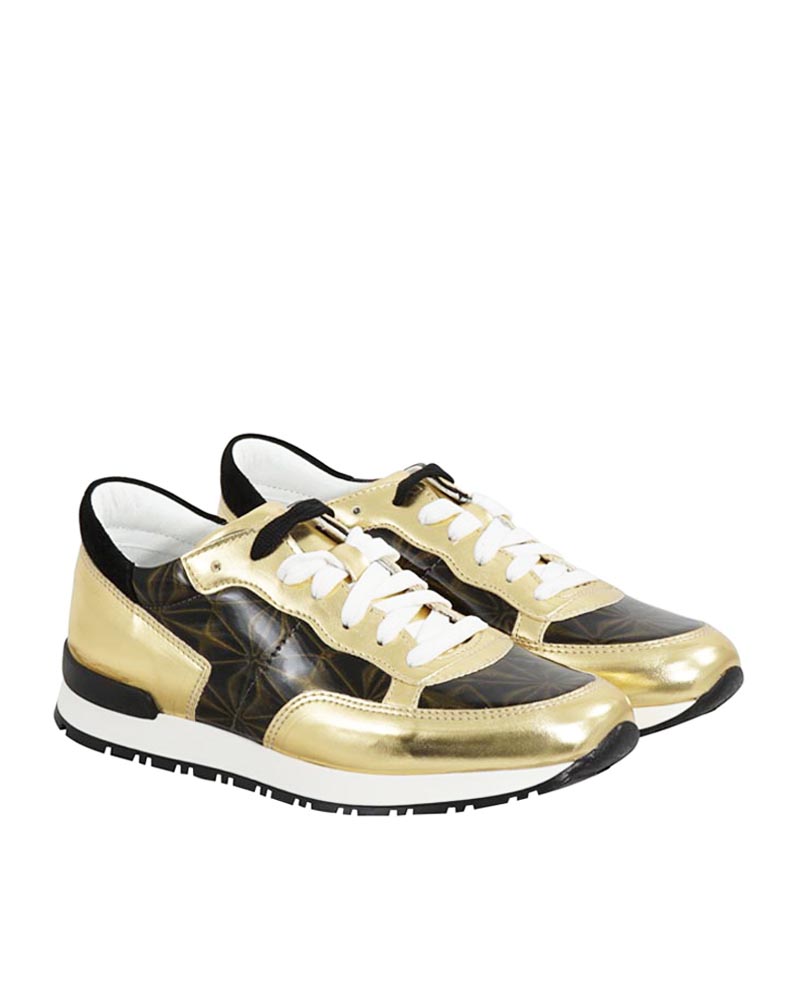 POLLINI