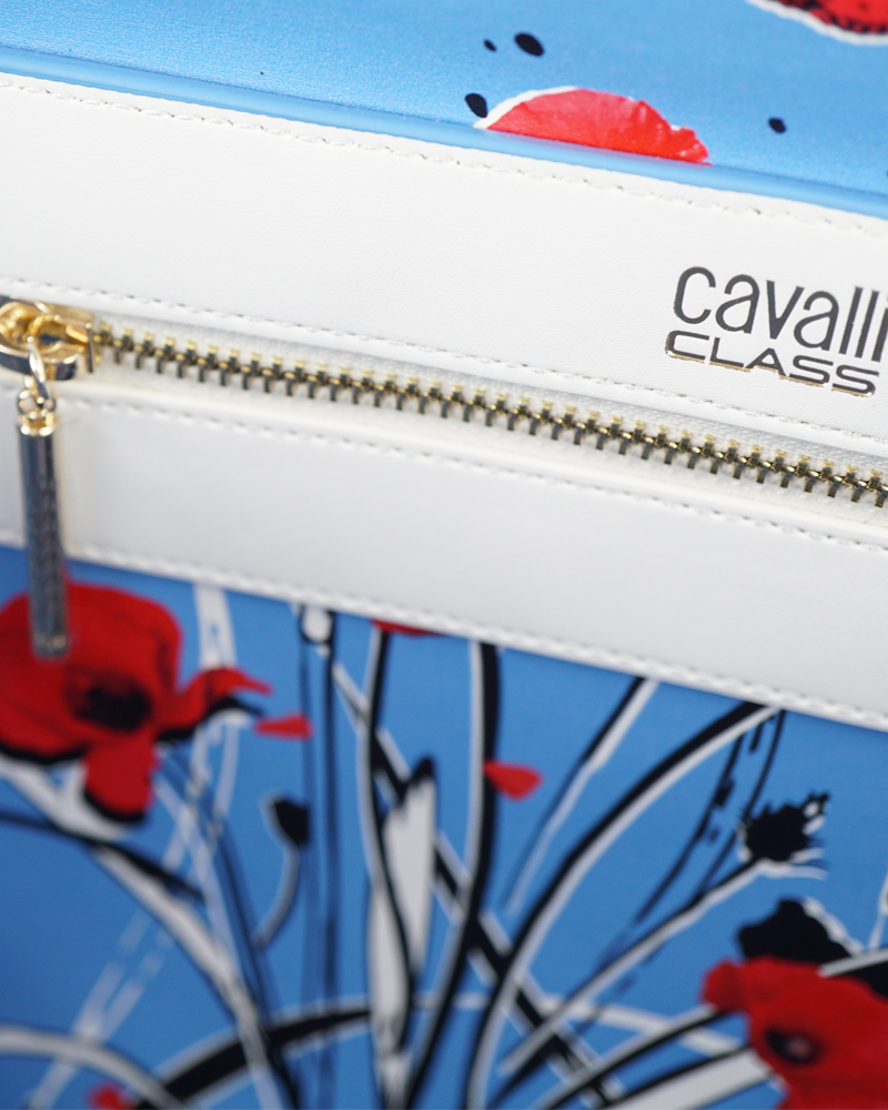 CAVALLICLASS