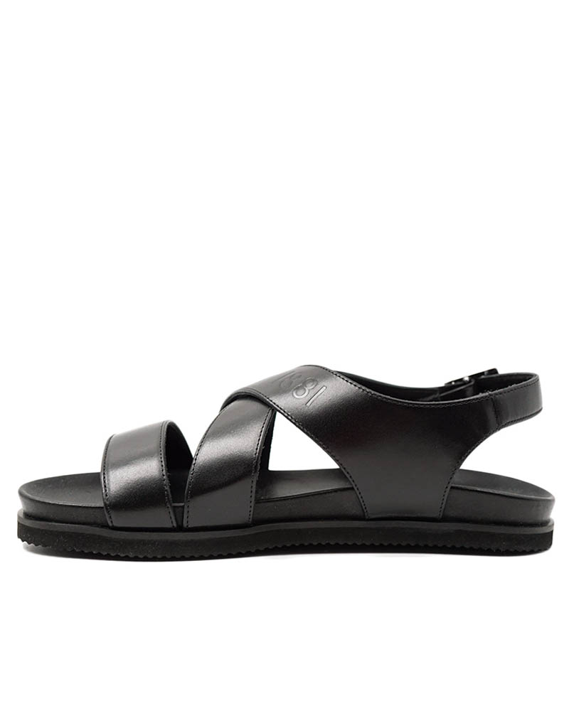 CERRUTI
