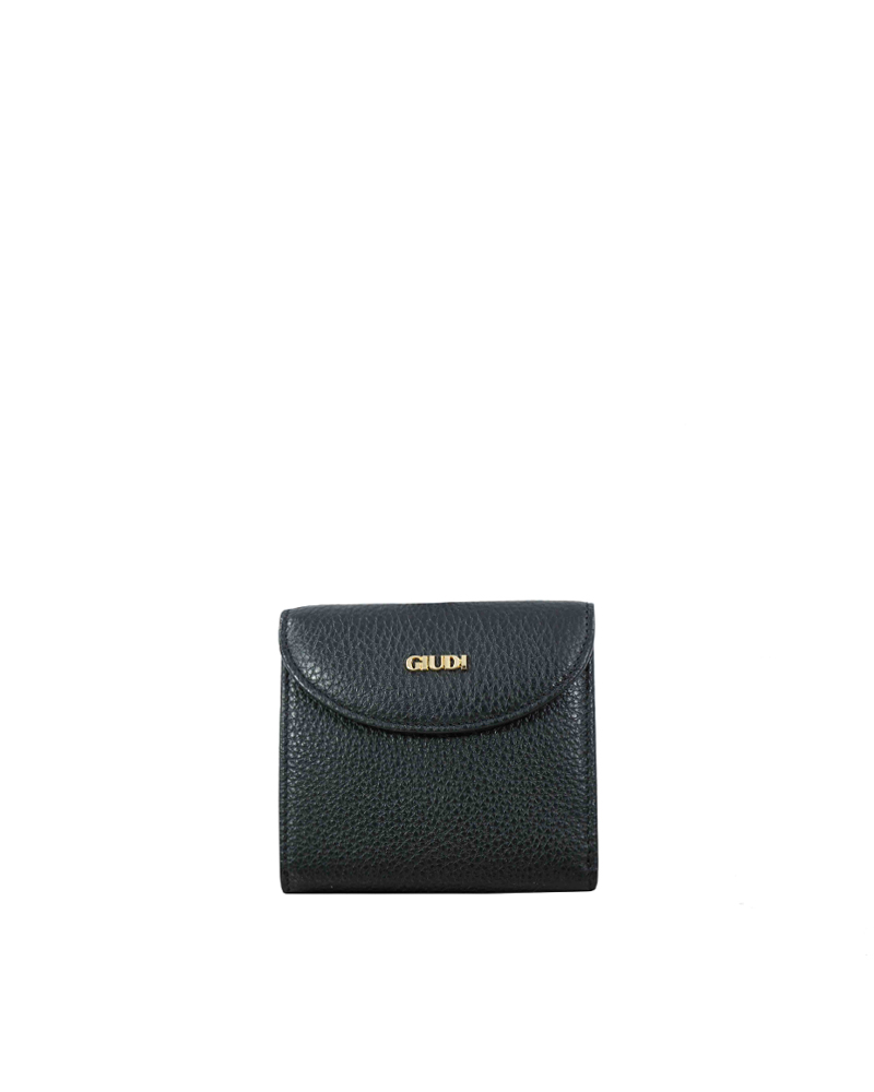 GIUDI
