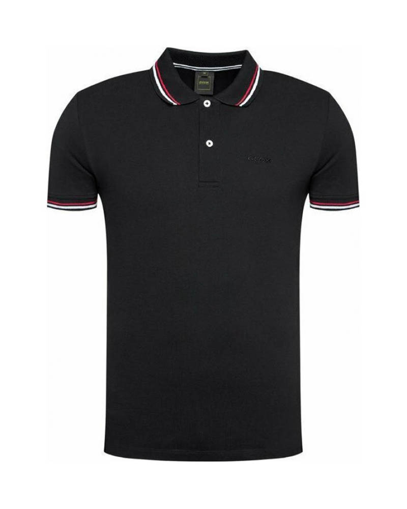 BlGEOX