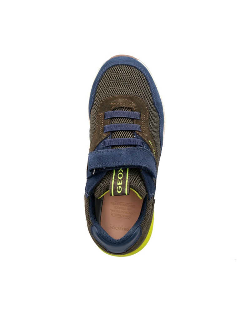 GEOX