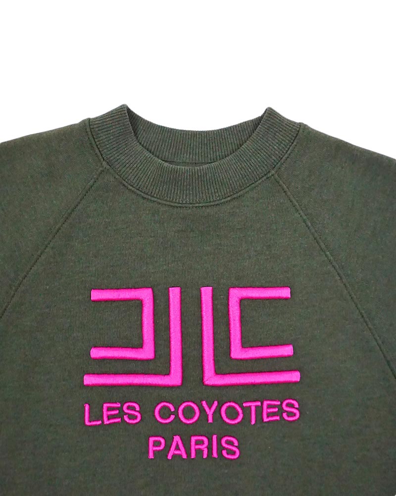 LESCOYOTESDEPARIS