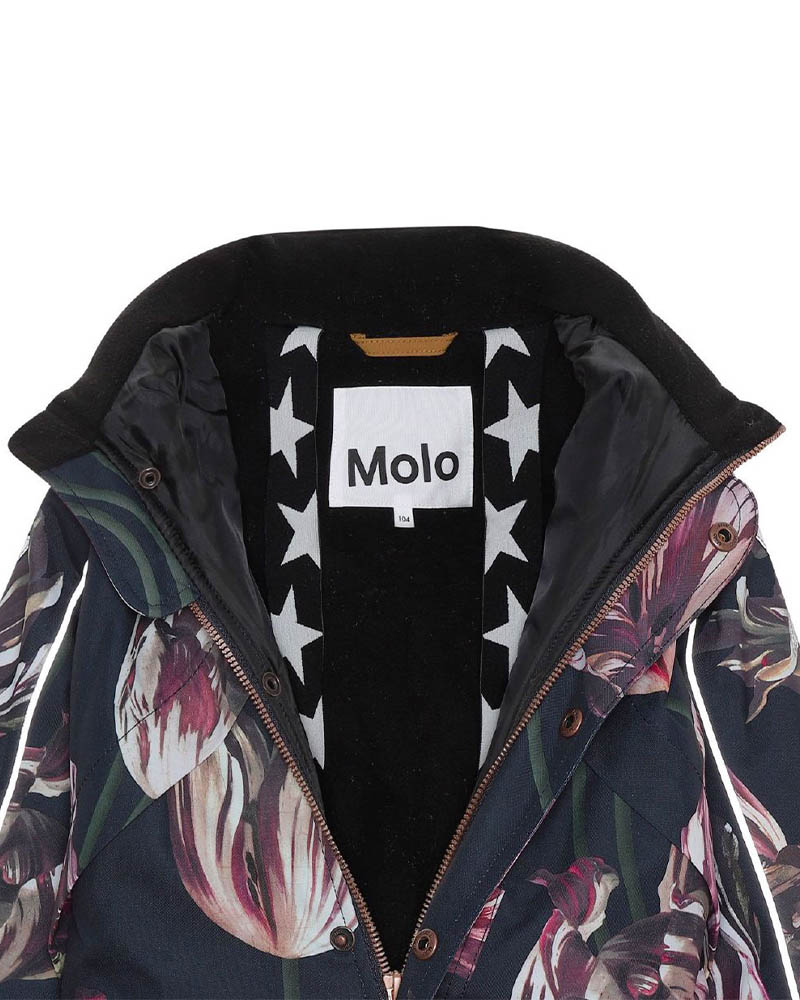 MOLO