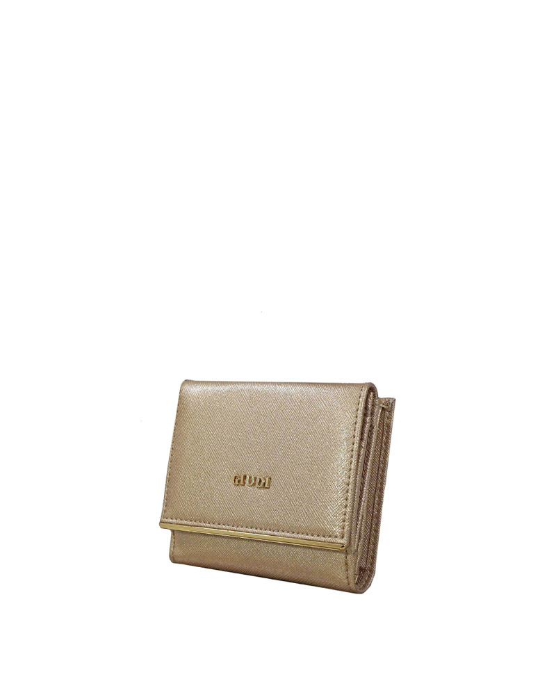 GIUDI