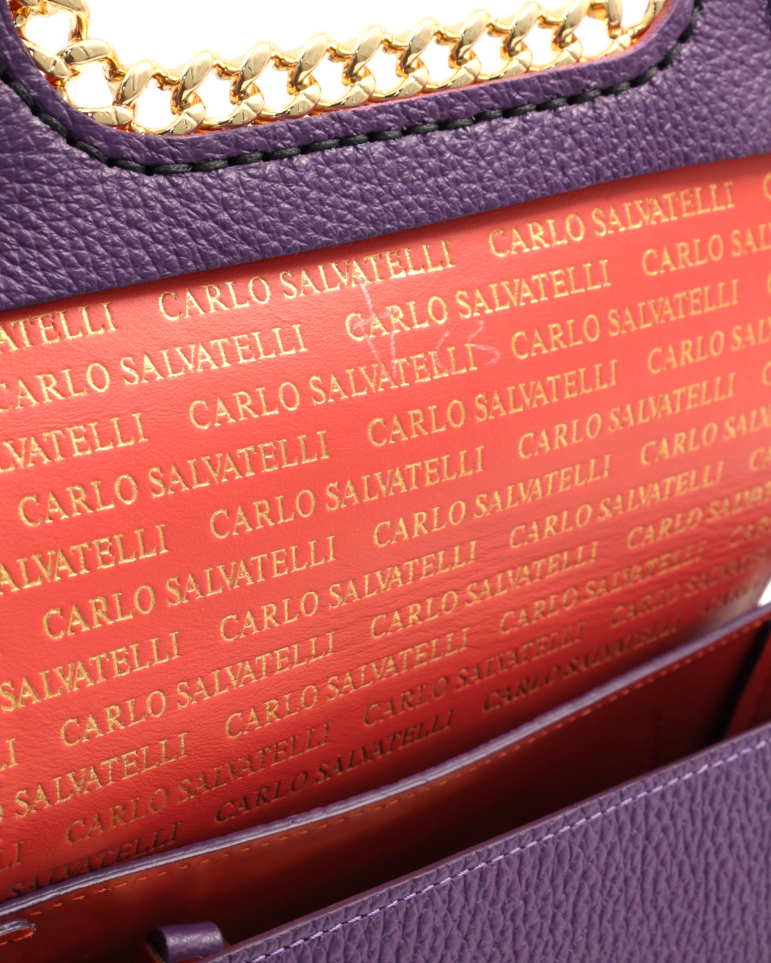 CARLOSALVATELLI