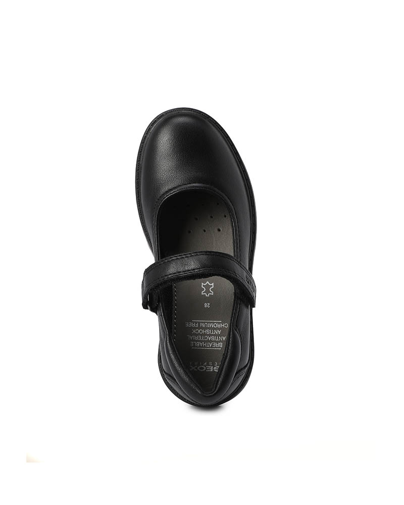 GEOX