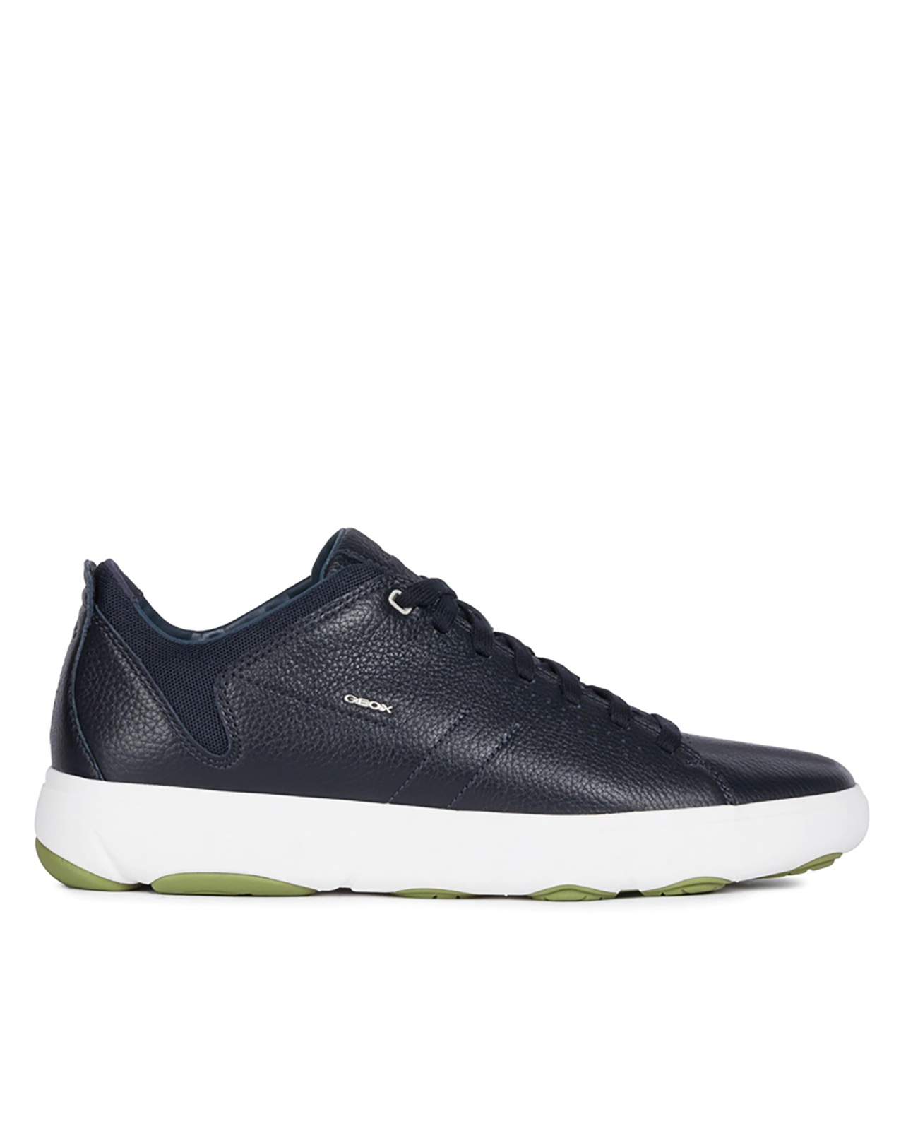 BlGEOX