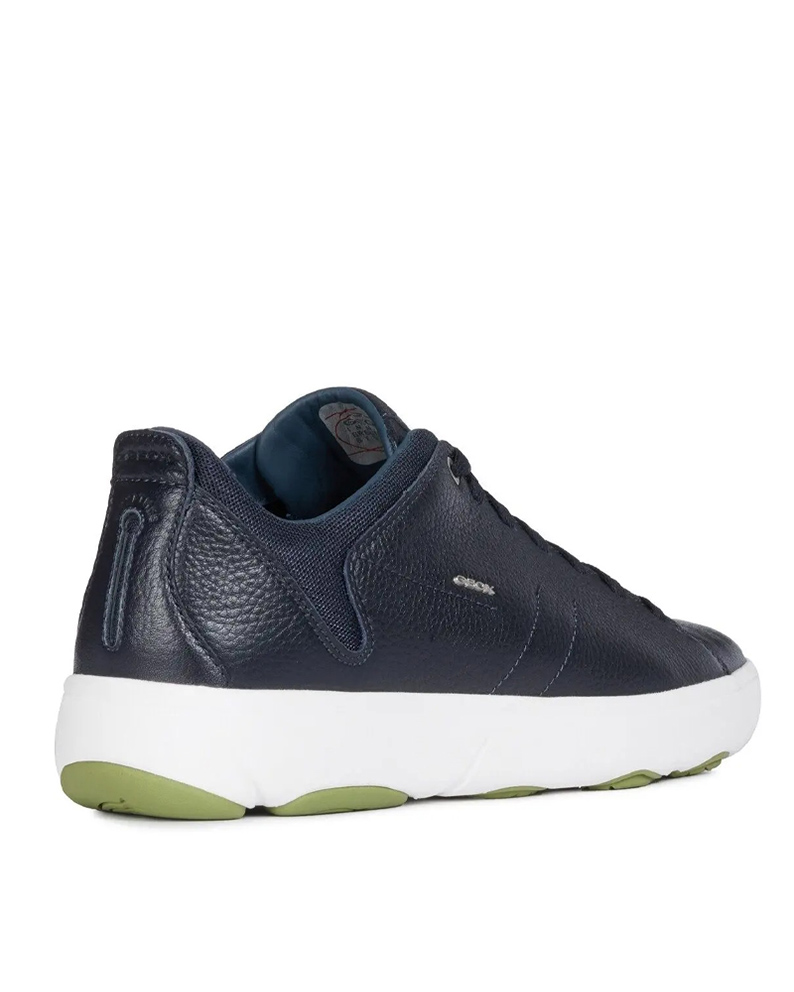 BlGEOX