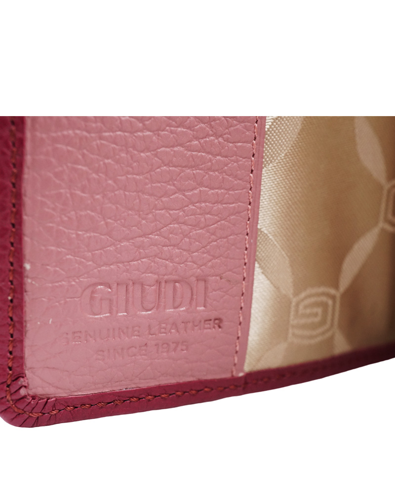 GIUDI