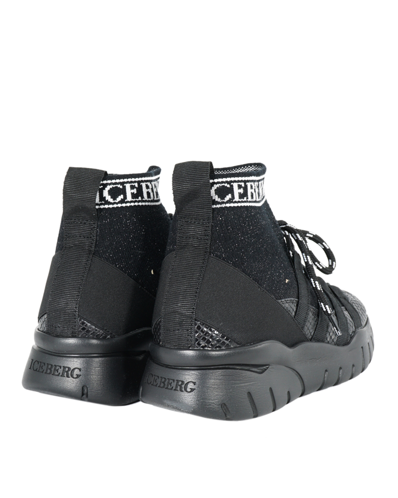 ICEBERG